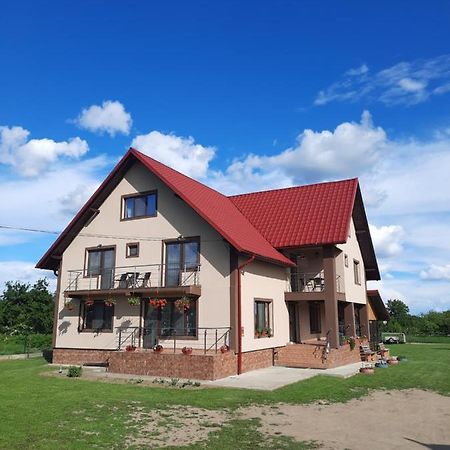 Pensiunea Ana-Maria Hotel Polovragi Exterior photo